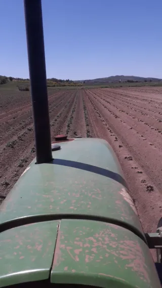 Caballonador / Fresadora de Lomos