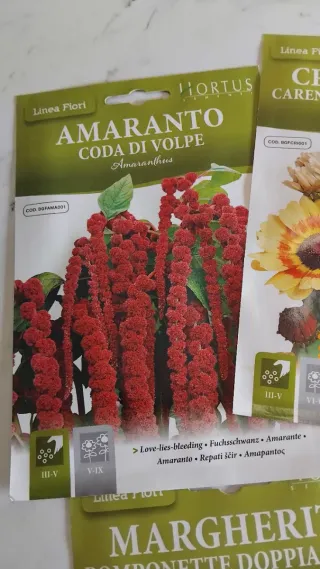 5 bustine semi fiori Hortus