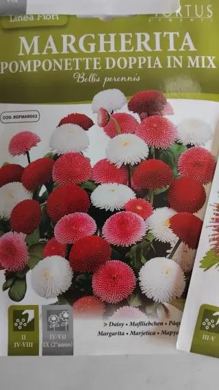 5 bustine semi fiori Hortus