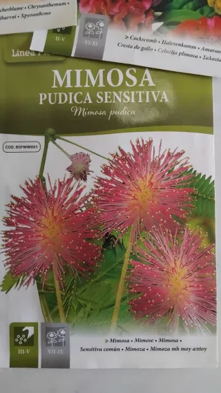 5 bustine semi fiori Hortus