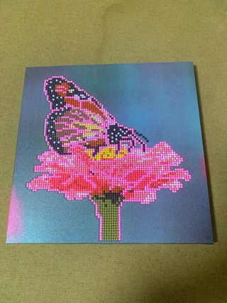 Diamond Painting Farfalla Fiore