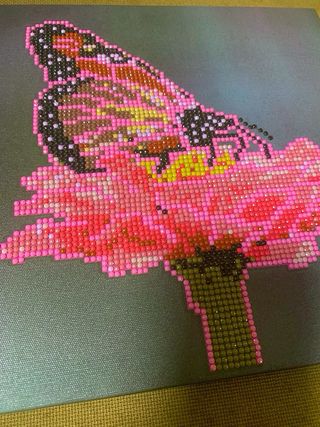 Diamond Painting Farfalla Fiore