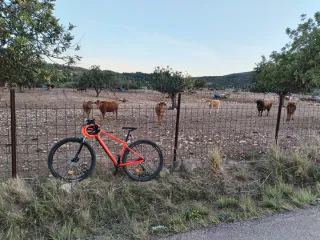 Bicicleta de Montaña Naranja
