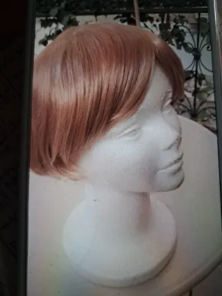 2  Extensiones pelo sintético con pinza y peluca