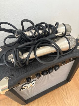 Amplificador SX BB-1565 con 2 micros