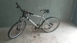 Bicicleta Berg Roda 26