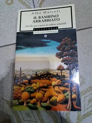 Il bambino arrabbiato favole per capire le rabb...