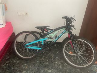 2 Bicicletas Denbike en buen estado