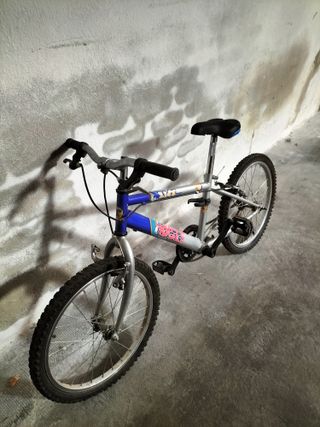 Bicicleta infantil Trotter