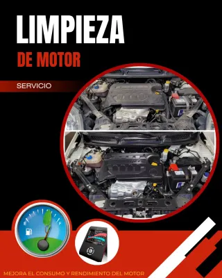 Limpieza de motor