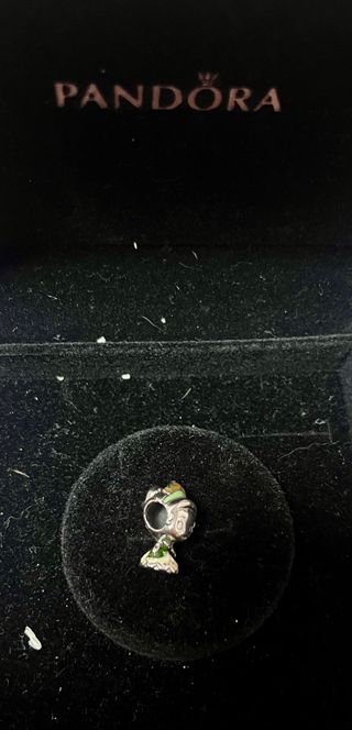 Charm Tiana Princesa Rana