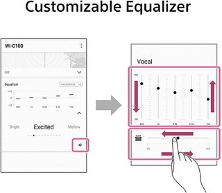 Auriculares Inalámbricos Sony WI-C100 Gris