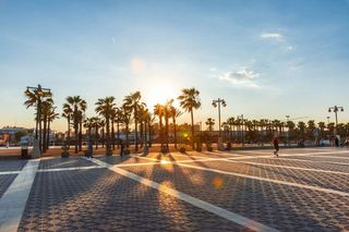 Estudio en venta en La Malva-rosa en Valencia