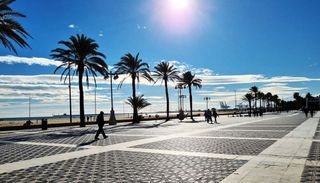 Estudio en venta en La Malva-rosa en Valencia