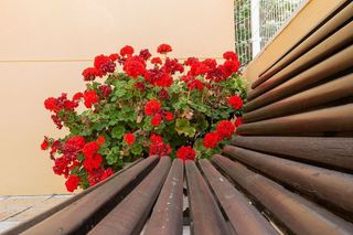 Piso en alquiler en Renfe - Bulevar 1º y 2º Fase en Jaén