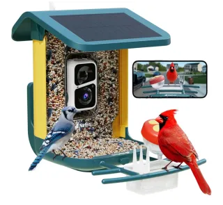 Mangiatoia Uccelli Nafnti 2K Camera