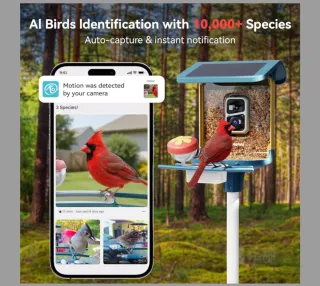 Mangiatoia Uccelli Nafnti 2K Camera