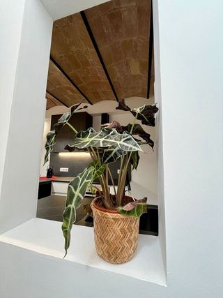 Casa pareada en venta en Sant Antoni en Barcelona