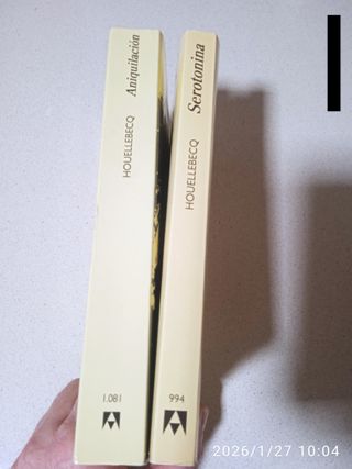 Lote 2 libros Houellebecq