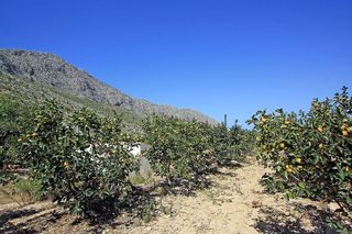 Terreno en venta en Beniarbeig