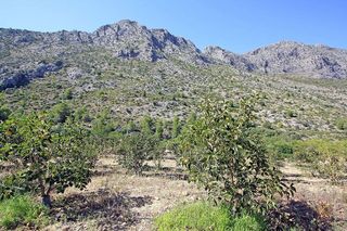 Terreno en venta en Beniarbeig