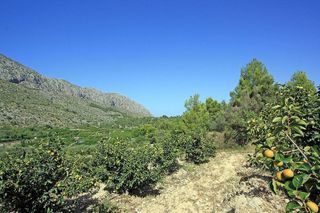 Terreno en venta en Beniarbeig