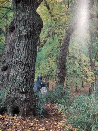 Libro Mi Vecino Totoro 1988-1995