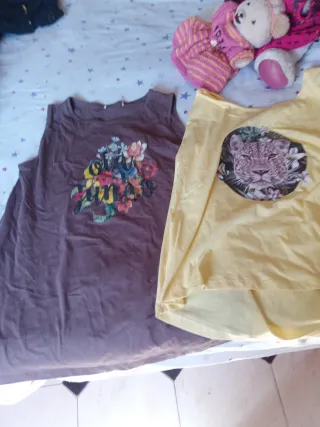 Lote Ropa Mujer Talla xxl hay más de 40 piezas