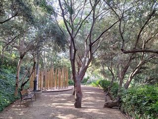 Local comercial en venta en Marianao en Sant Boi de Llobregat