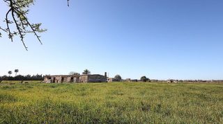 Terreno en venta en Binissalem