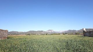 Terreno en venta en Binissalem