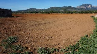 Terreno en venta en Binissalem