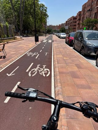 Eleglide M1 Plus 29 Bicicleta Eléctrica