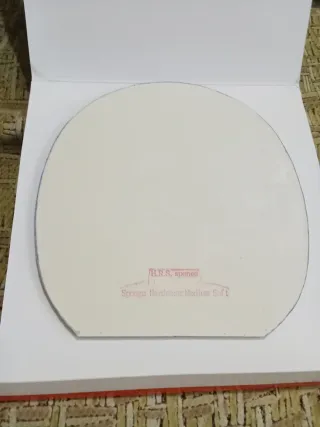 PICOS CORTOS ATAQUE UTILIZADOS UNA VEZ