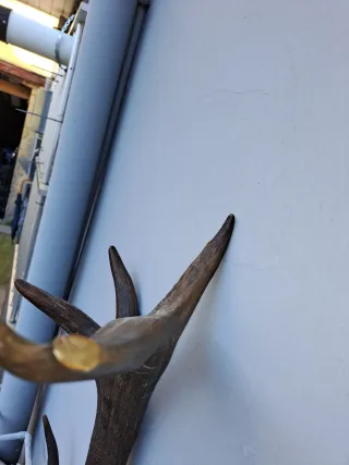 Lámpara de madera oscura