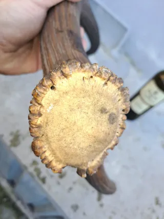 Lámpara de madera oscura