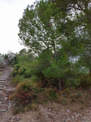 Casa rural en venta en Montsià de Mar en Alcanar