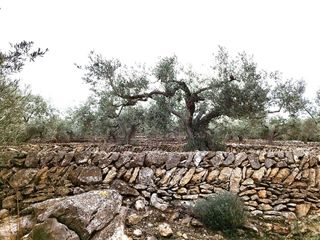 Casa rural en venta en Montsià de Mar en Alcanar