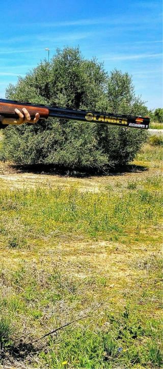 Pegatinas  para escopeta