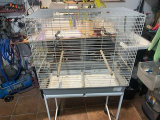 Jaula loro ninfa periquito pequeña blanca con pie