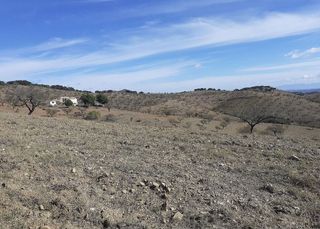 Terreno en venta en Vélez-Rubio