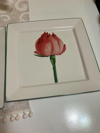 2 Platos Cuadrados Cerámica Flor Roja