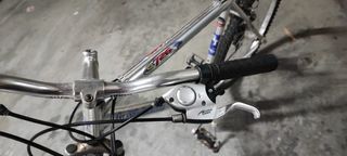 Bicicleta de montaña plateada