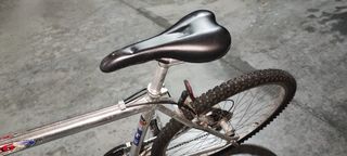 Bicicleta de montaña plateada