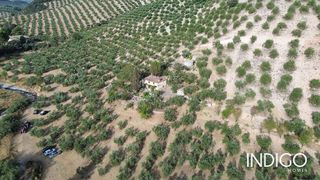 Casa en venta en Priego de Córdoba