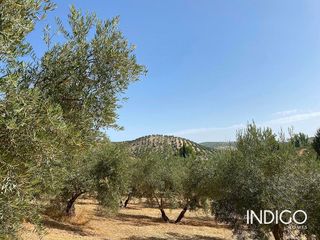 Casa en venta en Priego de Córdoba