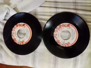 2 Vinili 45 Giri Signal - Lavorare Che Faticai