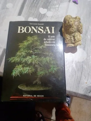 Libro Bonsai: El arte de cultivar árboles