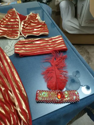 Disfraz Paje Real Rayas Doradas