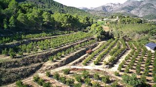 Terreno en venta en Orba